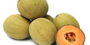 Fresh Muskmelon