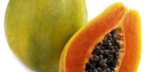 Fresh Papaya