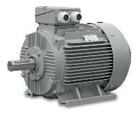 Squirrel Cage Motors