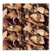 Coconut Shell Chips