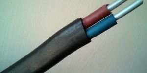 Aluminium Twin Flat Wires