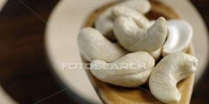 Cashew Nut