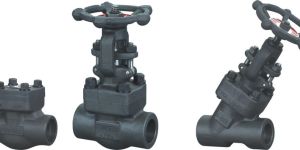 Forged Steel Valves