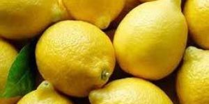 Fresh Lemon