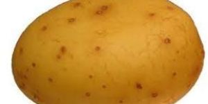 Potato