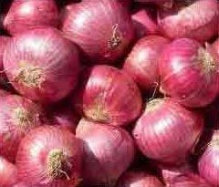 Red Onion