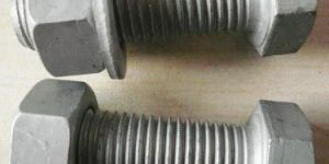 Hot Dip Galvanized Bolts Nuts Washers and Spring Washer