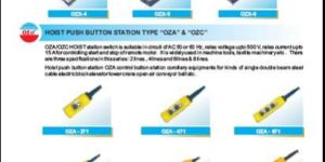 Hoist Push Button Station