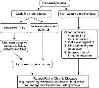 Antioxidant Lycopene