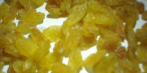 Golden Raisins