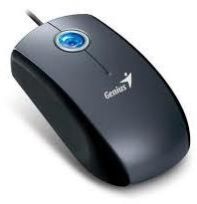 Computer Mouse