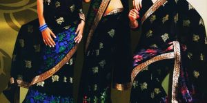 Braso Sarees