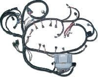 Engine Wiring Harness