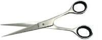 Salon Scissors