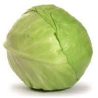 Cabbage