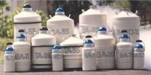 Liquid Nitrogen Container