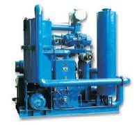 Rotary Piston Pump