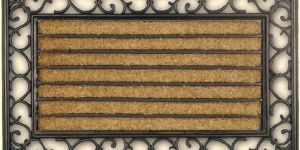 Rubber Coir Moulded Princess Mats