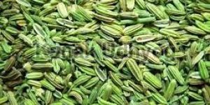 Fennel Seeds
