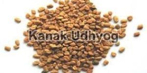 Fenugreek Seeds