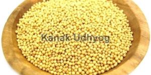 Yellow Mustard Seeds