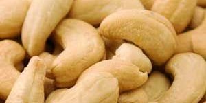 Cashew Nut