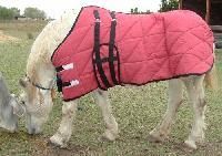 Horse Sheets
