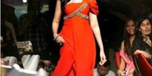 Ladies Indo Western Dresses