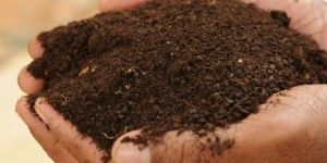 Organic Manure