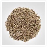 Cummin Seeds