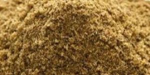Cumin Powder