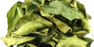 Dried Curry Leaves