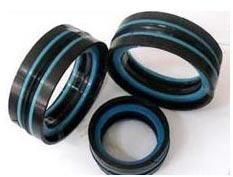 Hydraulic Compact Seals