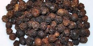 Black Pepper Seeds