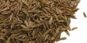 Cumin Seeds