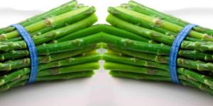 Asparagus