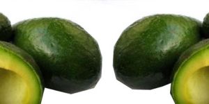 Fresh Avocado