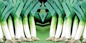 Leeks