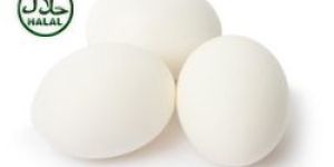 Chicken Eggs