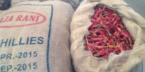 Chilli