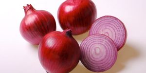 Onion