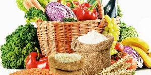 Network Marketing and Consultancy