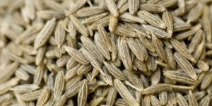 Cumin Seeds