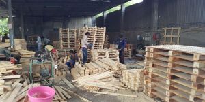 1200mm Pine Wood Pallet