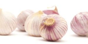 Himalayan Single Clove Garlic