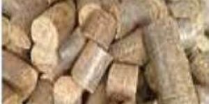 Biomass Briquette