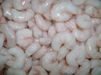 Frozen Pud Shrimp