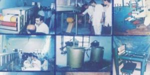 Abrasive Paper, Cloth Rpll Plant