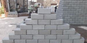 Hollow and Solid Interlocking Bricks and Blocks Fly Ash