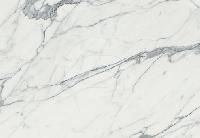 Statuario White Marble